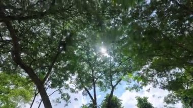 Gün boyunca ağaçların üzerinde hızla süzülen bulutların zamanı