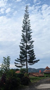 Akdeniz adasının güzel manzarası...