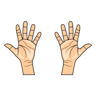 Sağ el 5 parmak gösteriyor, 5 parmak kaldırıyor, tangan kanan kiri bagian dalam menunjukkan 5 jari, mengangkat 5 jari
