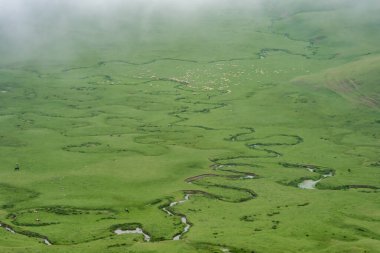 dağlarda yeşil nehir