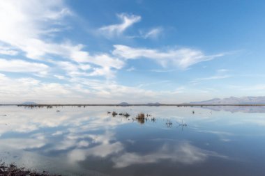 Göllü güzel bir manzara.
