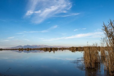 Arkasında bir göl olan güzel bir manzara.