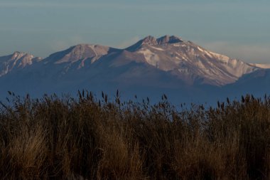 İsrail eyaletinin kuzeyindeki dağların manzarası.