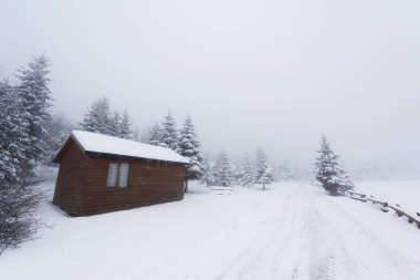 Dağlarda karla kaplı bir ormanda ahşap bir ev olan kış manzarası. Kış manzarası
