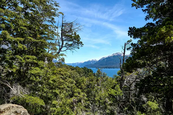 Krásný Zelený Les Horami Pozadí San Carlos Bariloche Argentina Jižní — Stock fotografie