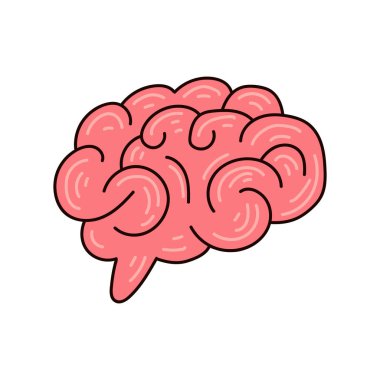 vektör beyin insan anatomisi biyoloji organ organ vücut sistemi sağlık hizmetleri ve tıbbi el çizimi