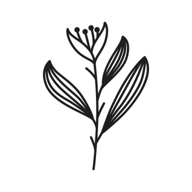 Vektör botanik yaprağı yaban çiçeği çizgisi sanatı