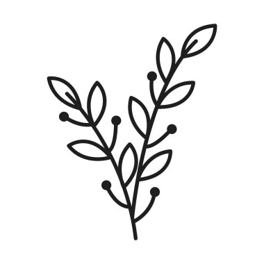 Vektör botanik yaprağı yaban çiçeği çizgisi sanatı