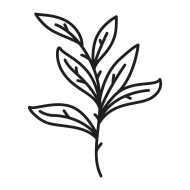 Vektör botanik yaprağı yaban çiçeği çizgisi sanatı