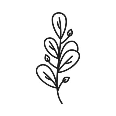 Vektör botanik yaprağı yaban çiçeği çizgisi sanatı