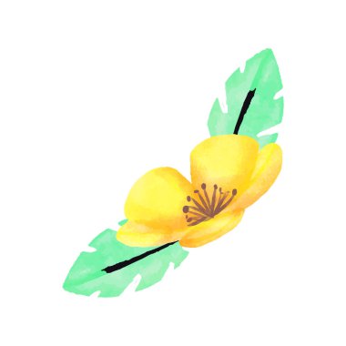 Beyaz üzerine vektör suluboya çiçek demetleri