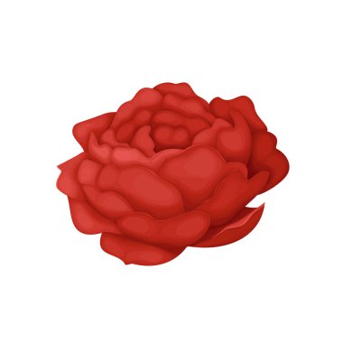 Beyaz arkaplanda vektör el çizilmiş gül buketi