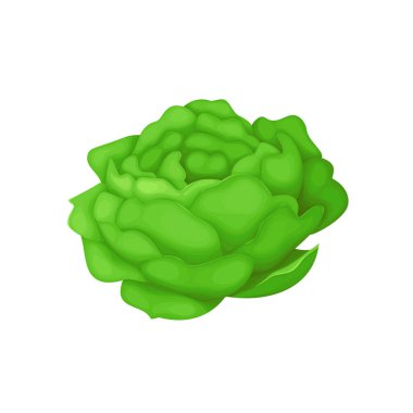 Beyaz arkaplanda vektör el çizilmiş gül buketi