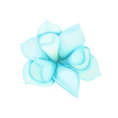 Beyaz arkaplanda güzel bir buket çiçek.