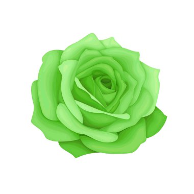 Vektör soyut çiçek elementi yeşil suluboya arkaplan illüstrasyonu