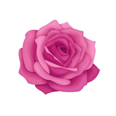 Vektör soyut çiçek elementi pembe suluboya arkaplan illüstrasyonu