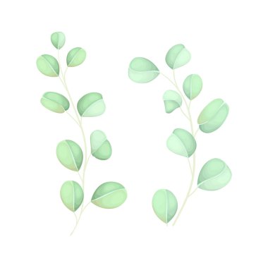 Vektör yeşil yaprak el çizimi vektör botanik illüstrasyon