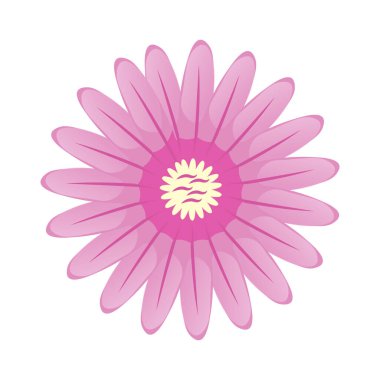 Vektör el beyaz üzerine bahar çiçeği çizdi