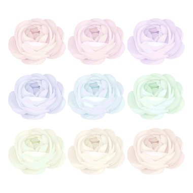 Beyaz arkaplanda vektör eli çizilmiş suluboya gül buketi