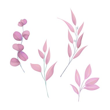 Vektör suluboya okaliptüs dalları ve buketlerin resimlerini bırakır