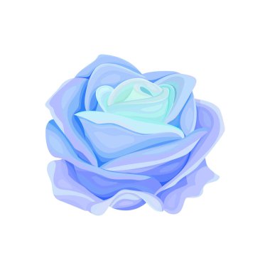 Beyaz arkaplanda çiçek açan vektör