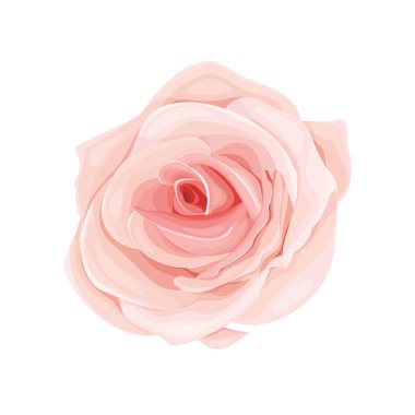 Beyaz arkaplanda çiçek açan vektör