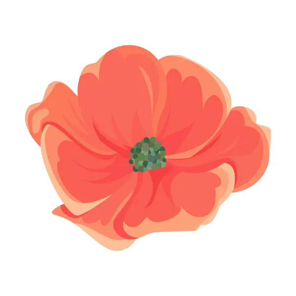 beautiful red poppy flowers on white background, flat style