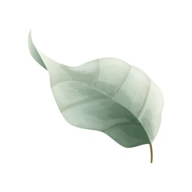 Vektör el çizilmiş suluboya yaprakları