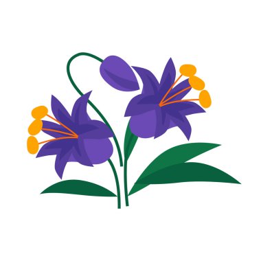 vektör düz tasarım safran çizimi