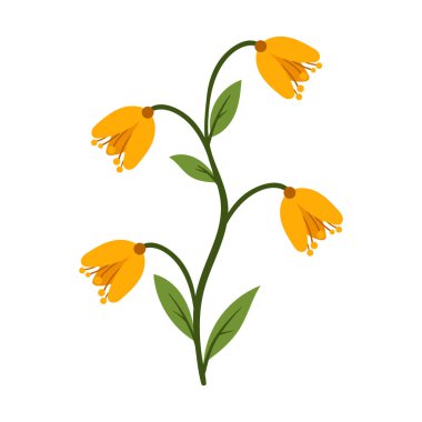 Beyaz üzerine vektör eli çizilmiş çiçek illüstrasyonu