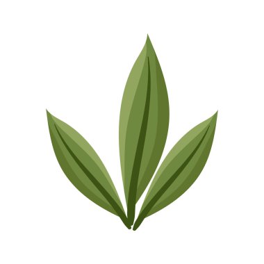 Beyaz arkaplanda yeşil yapraklı vektör dalı