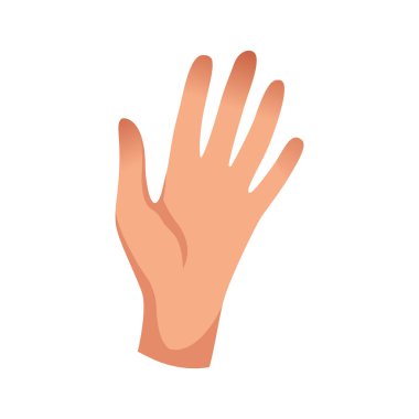 Vektör insan eli. Avuç içi duyu organı gibidir. Vücudun bir parçası. Dokunma organı