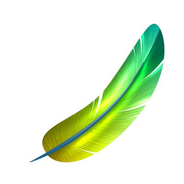 Beyaz arkaplan illüstrasyonunda vektör renkli tüyler