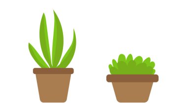 Beyaz üzerinde vektör düz ev bitkisi koleksiyonu