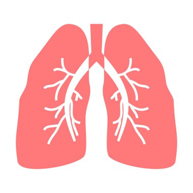 Vektör akciğerler insan organı illüstrasyonu