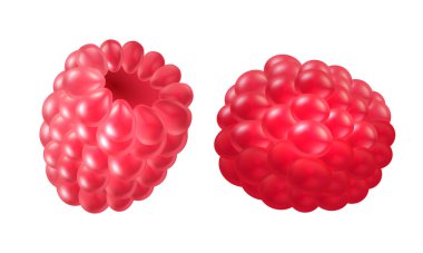 Beyaz arka plana izole edilmiş gerçekçi kırmızı olgun ahududu vektörü