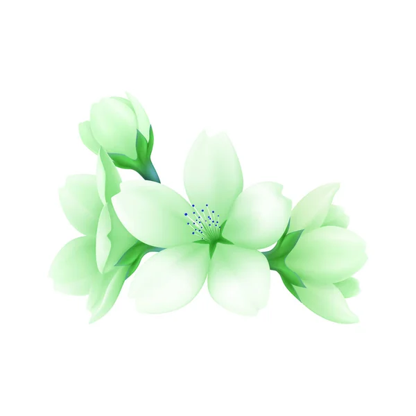 Vector illustration of green flower on white