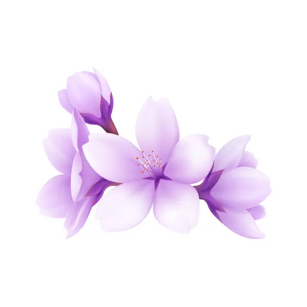 Vector illustration of purple flower on white background