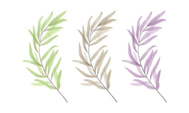 Vektör el boyalı suluboya yapraklar