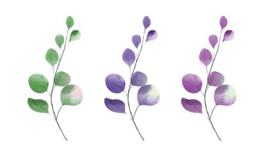 Beyaz arkaplanda izole edilmiş vektör suluboya elementi