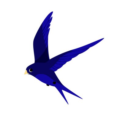 Uçan kuşun çeşitli görüntüsü. Beyaz arka planda izole edilmiş kırlangıç sürüsü