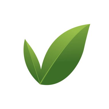 Vektör yaprağı logo vektör tasarım şablonu