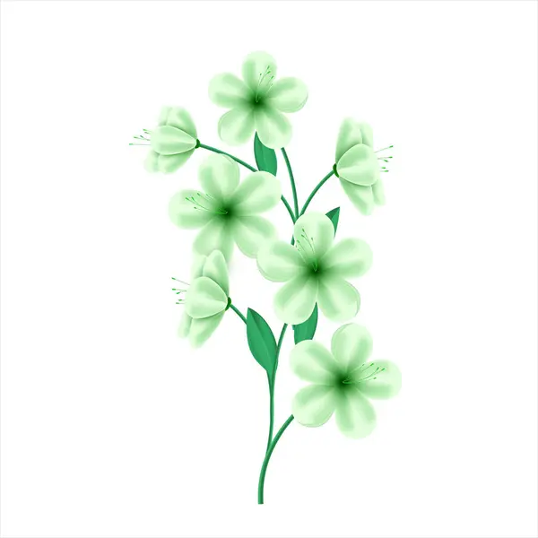 Vecteur Printemps Fleur Verte Sur Fond Blanc — Image vectorielle