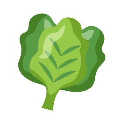 vektör hardal pakcoy sebze çizgi film vektör ikonu besin illüstrasyonu doğa ikonu kavramı izole