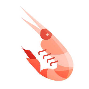 Vektör karidesi düz vektör çizimi beyaz arkaplan