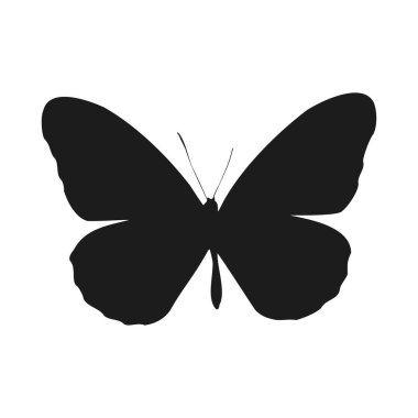 Beyaz arkaplanda vektör kelebek siluetleri