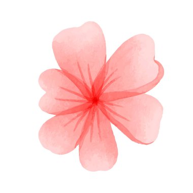 Beyaz üzerine izole edilmiş suluboya bitkiler ve çiçekler