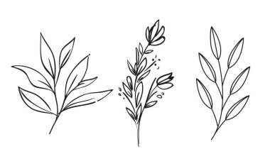 Vektör el çiçekli yaprak dekoratif karalama koleksiyonu