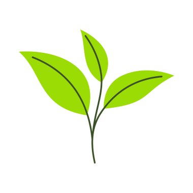 Vektör gerçekçi tropikal bitkiler yeşil yaprak tasarımı