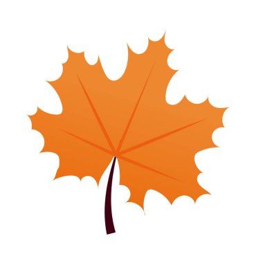 Beyaz arkaplanda izole edilmiş vektör renkli sonbahar akçaağaç yaprağı